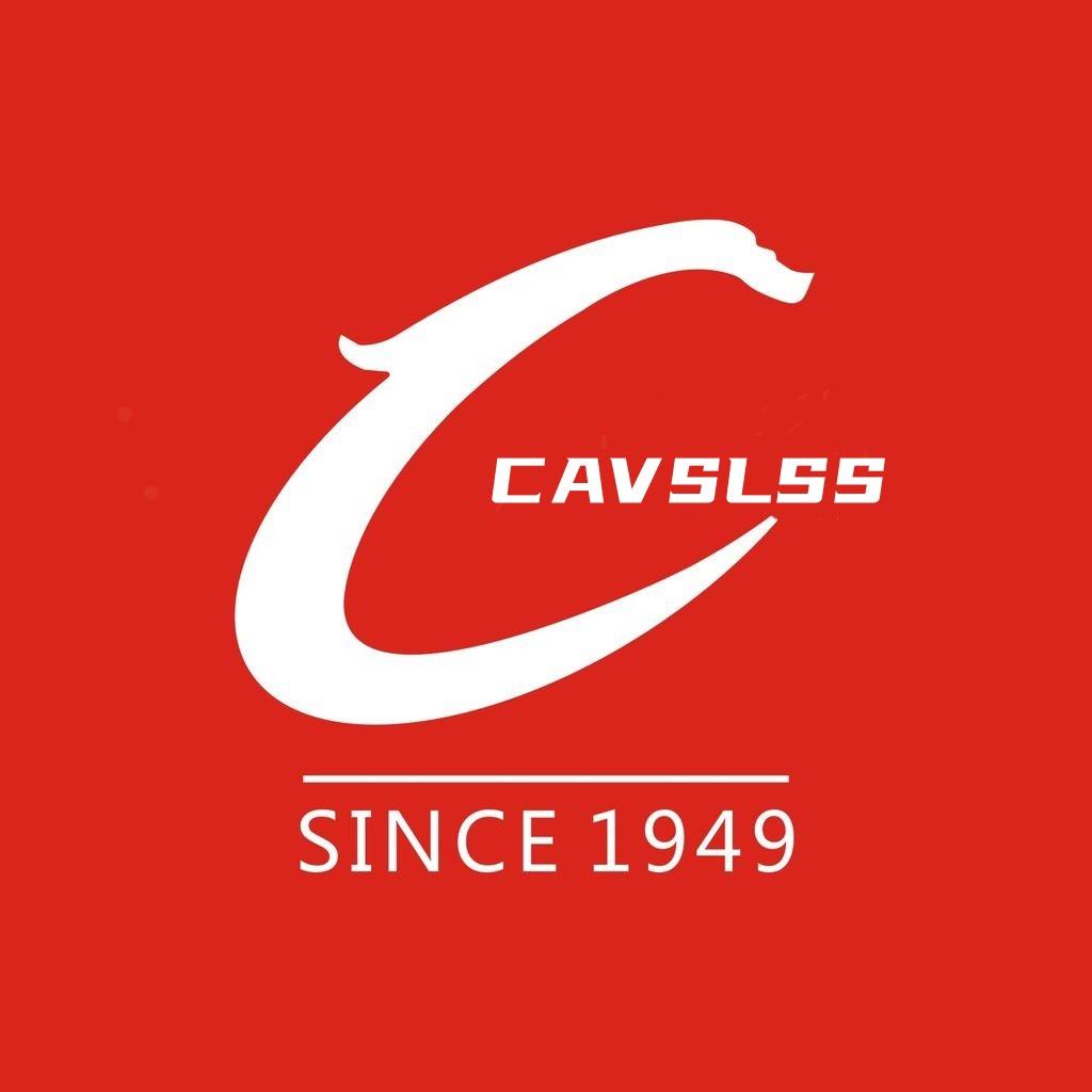 CAVSLSS11