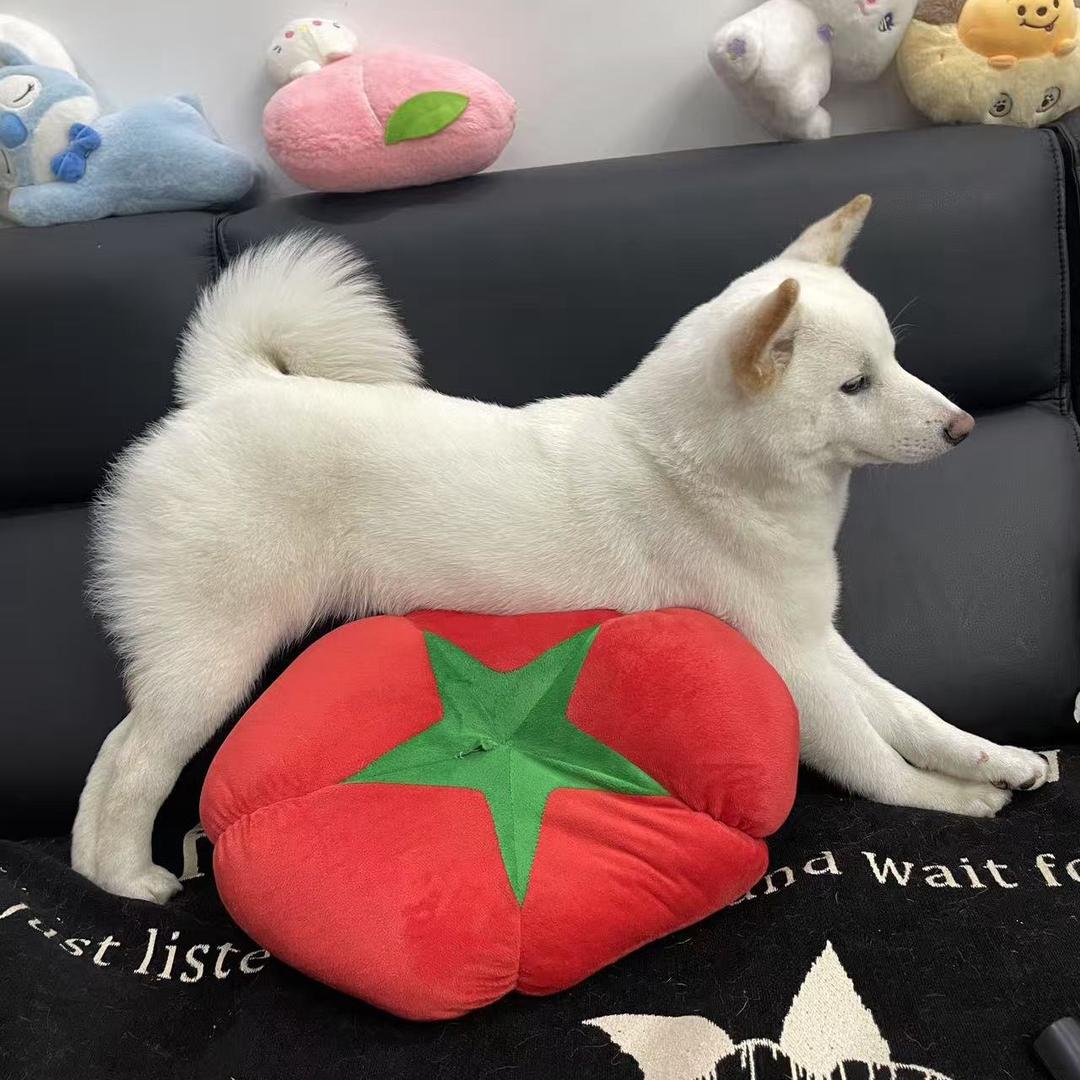 囍贝才.