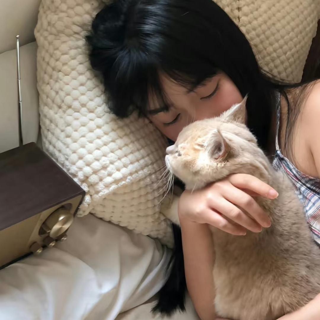 故鸢.