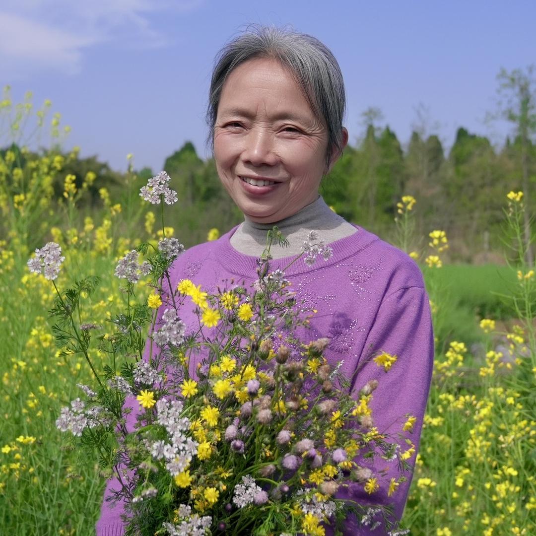 蜀乡蒋孃孃