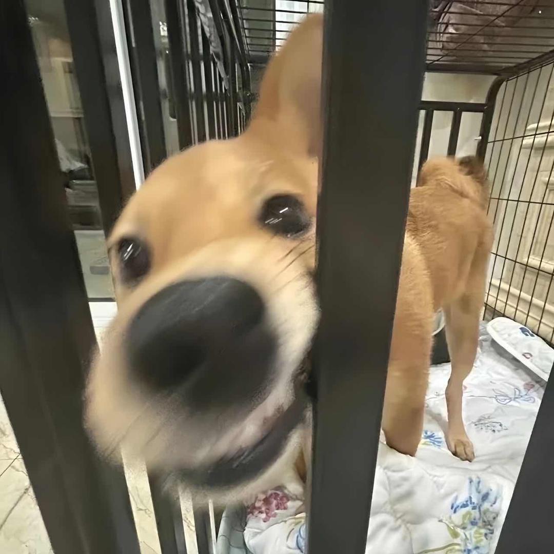 记得开心1点