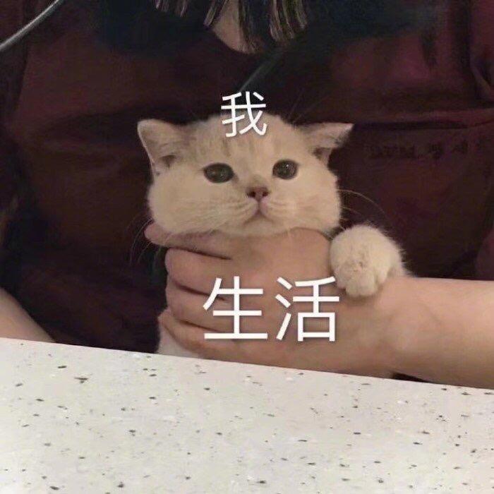 黄黄