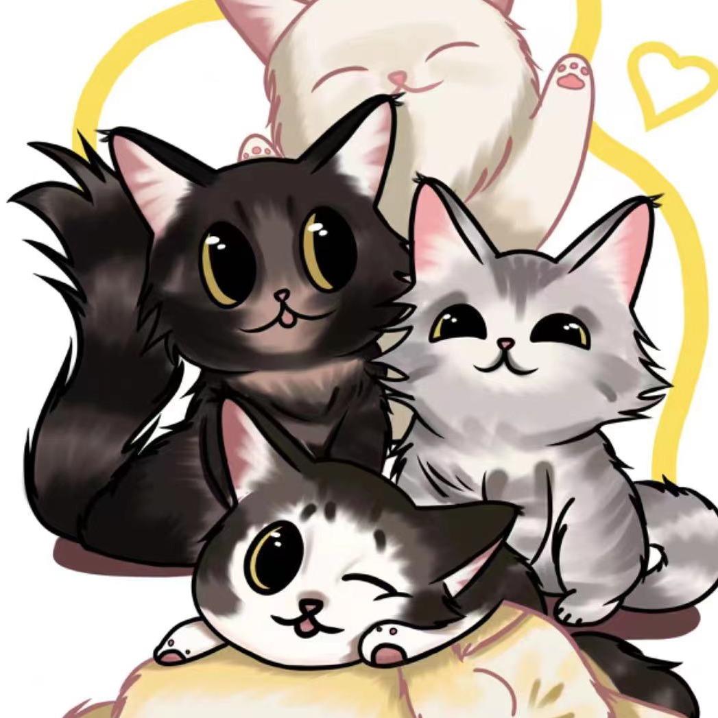 珠海富褐色-纯缅因猫咖