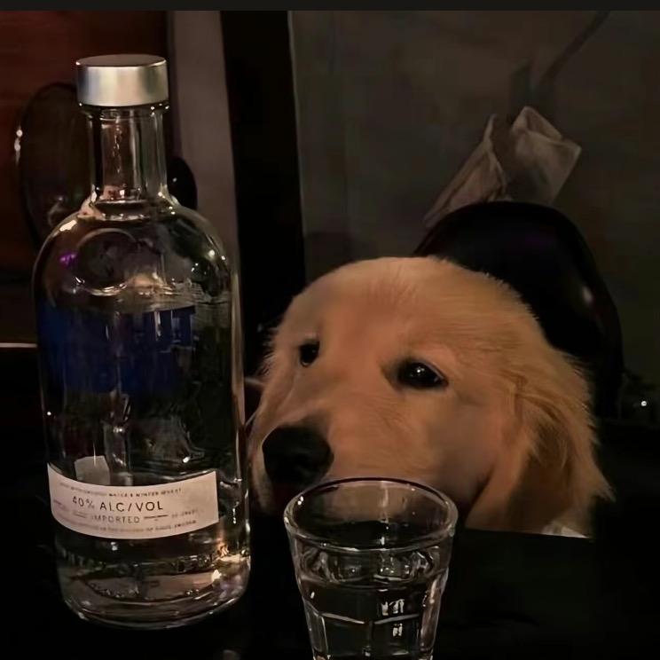 贵阳市奎新网络科技有限公司