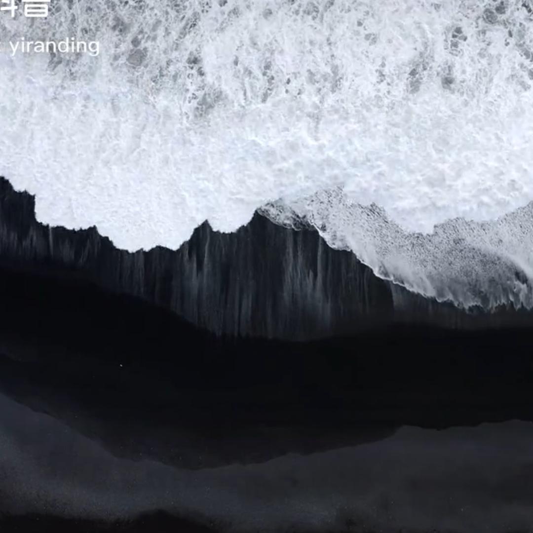苏白植