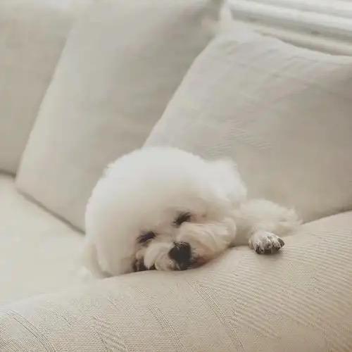 不甘平凡的平凡人