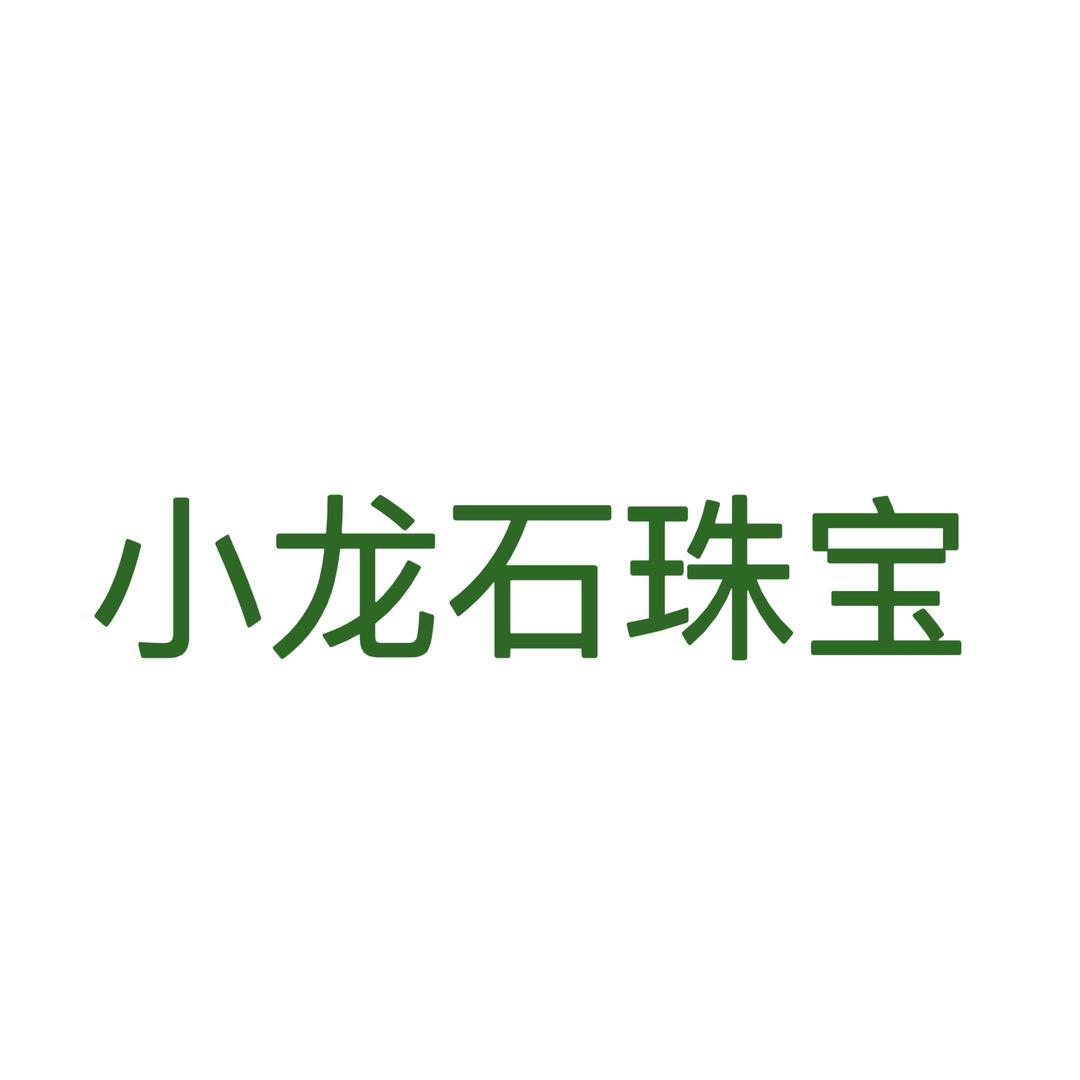 小龙石珠宝