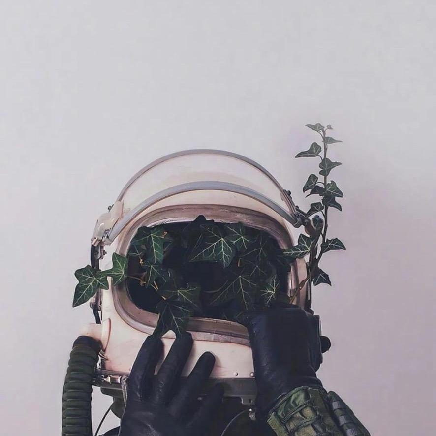 元宝的三角洲日记