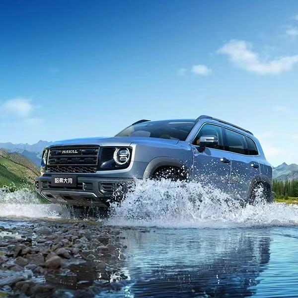 哈弗大狗邯郸凯渡店