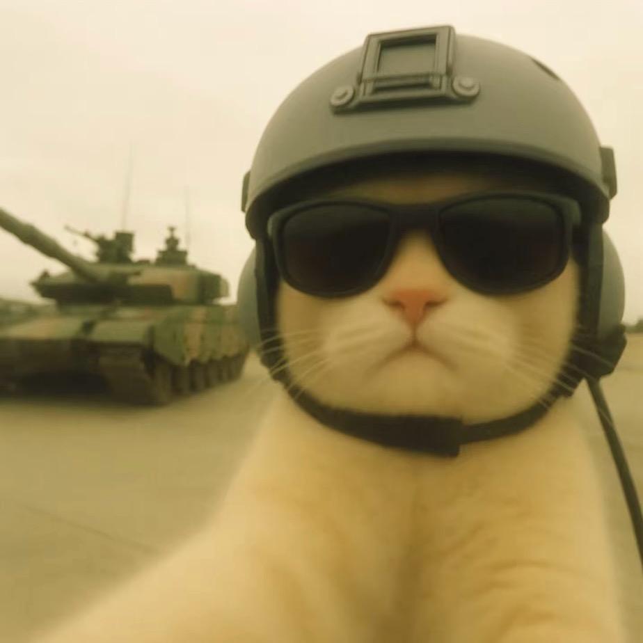 战斗猫（三角洲行动）