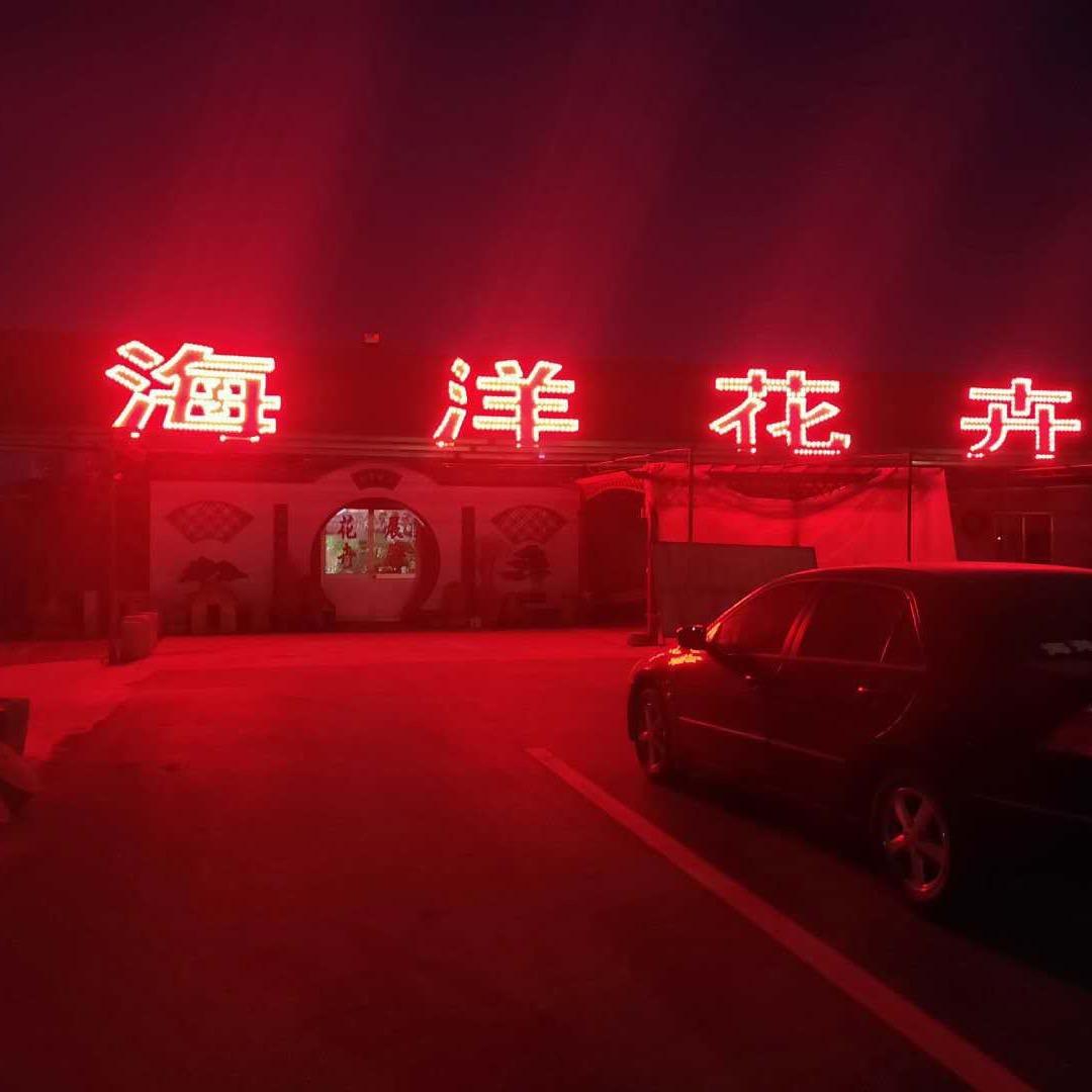砸盆哥（海洋花卉）
