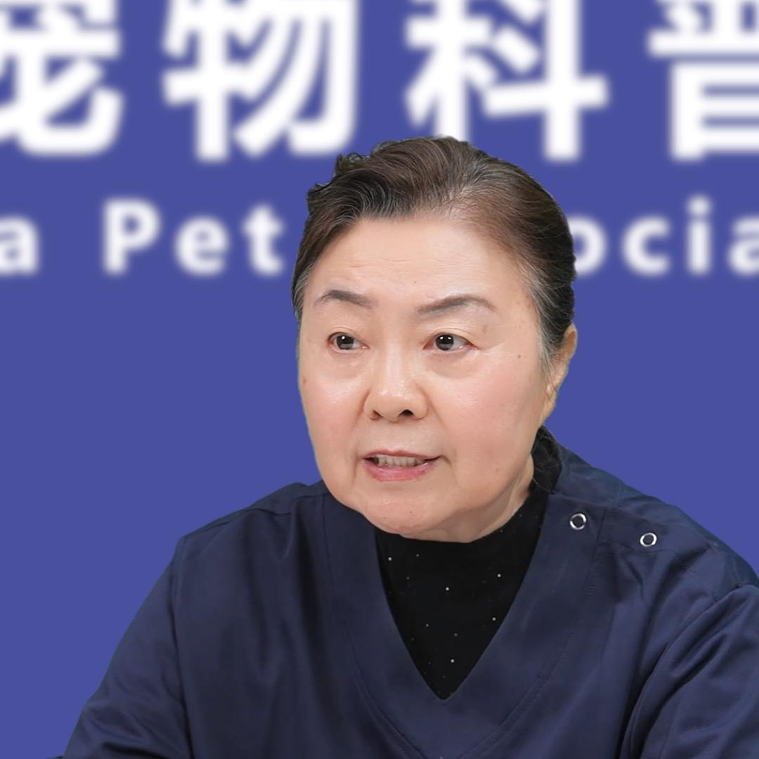 孙梅-科学养猫
