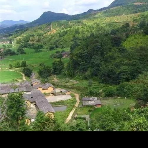 城