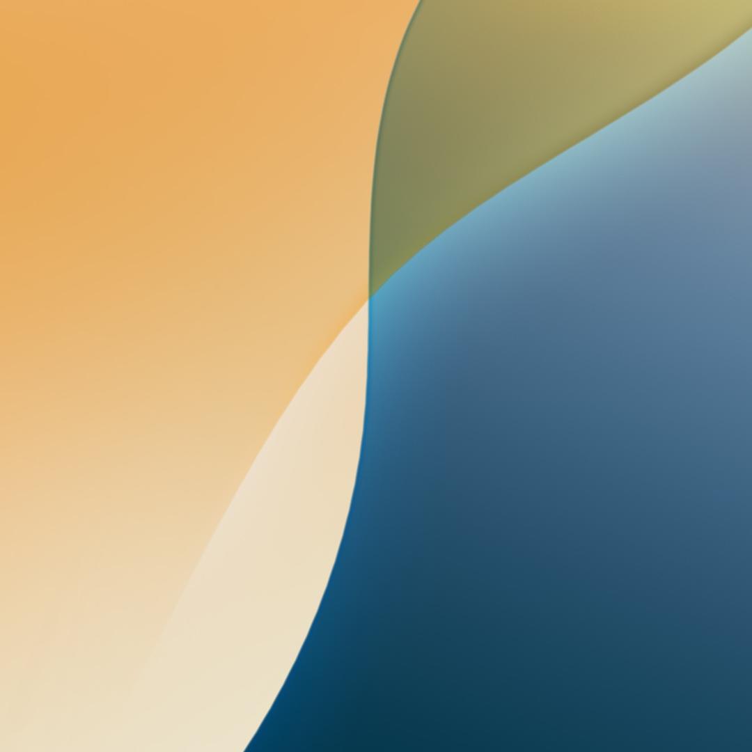 ¥¥¥¥）
