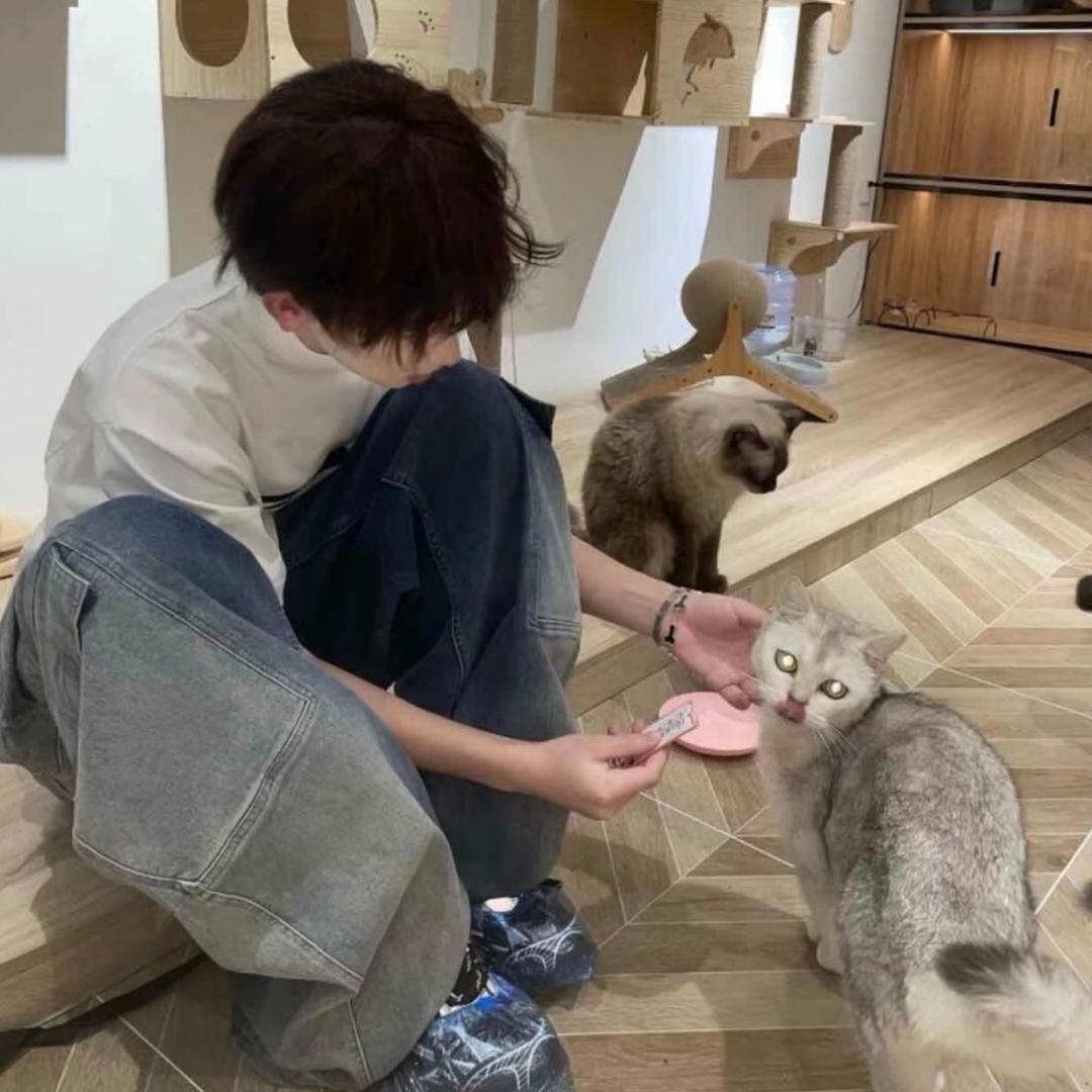 小猪不会玩数码