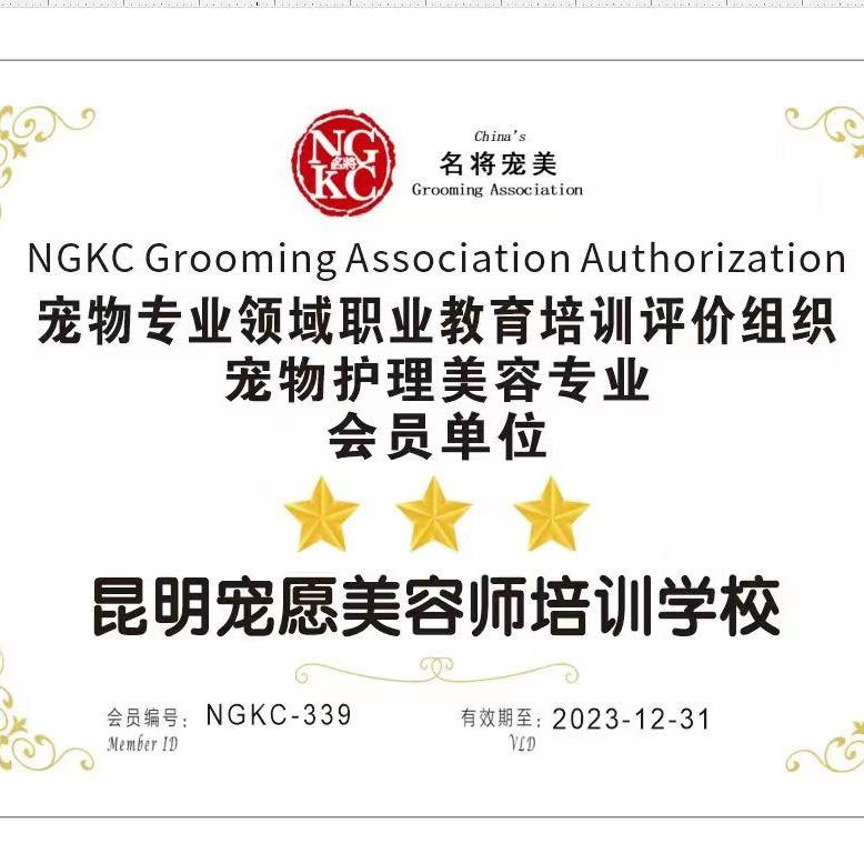 昆明宠愿宠物美容师培训
