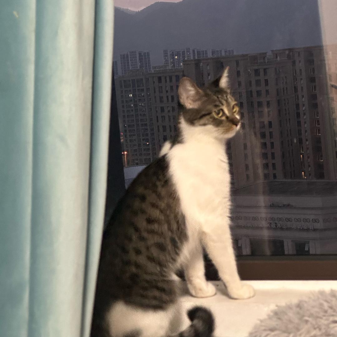 今天不emo