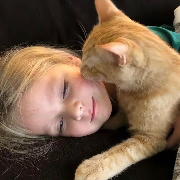 .：