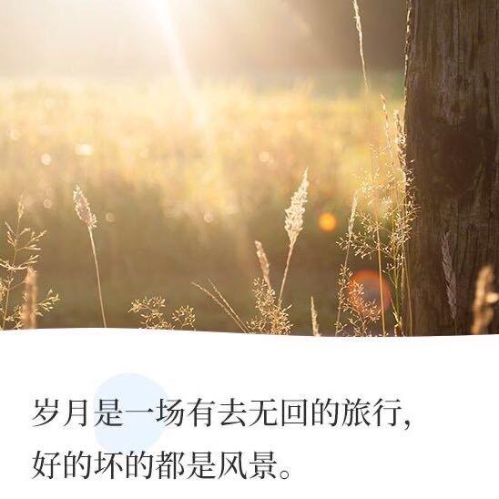 红叶🍁
