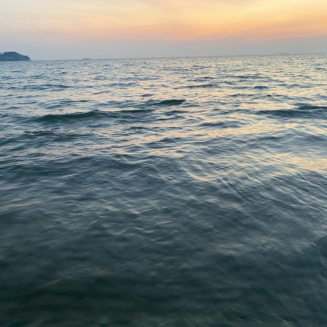 满山兮兮，可见余光