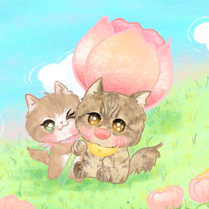 土豆的养猫日记