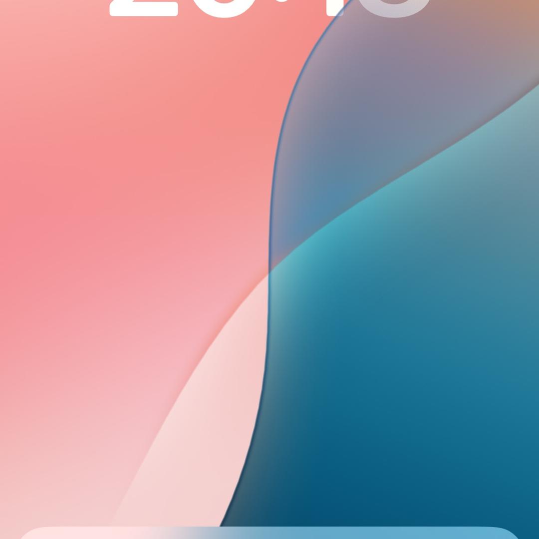 张老师说康2