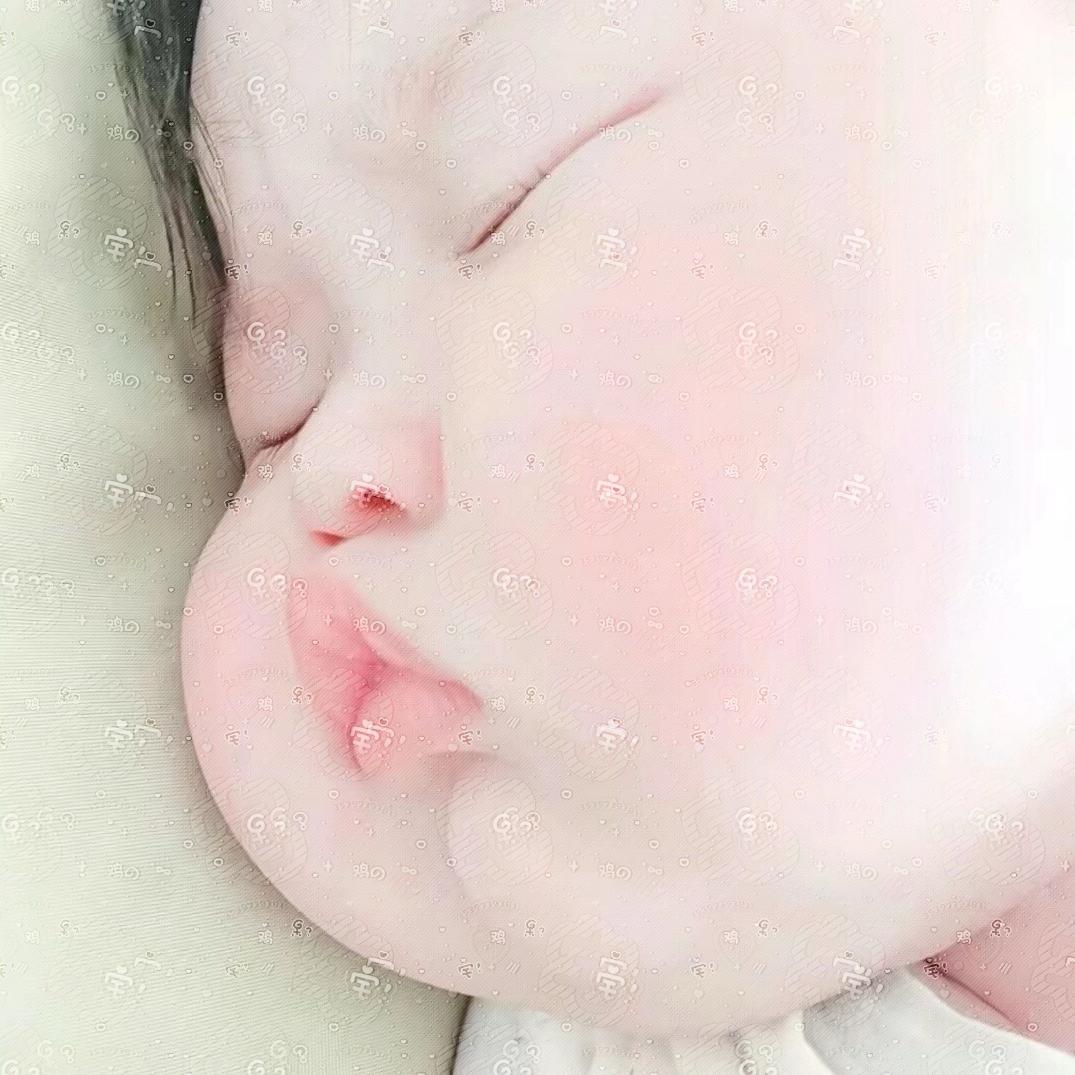 小鸡