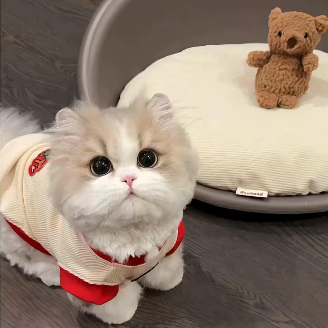 依芙.