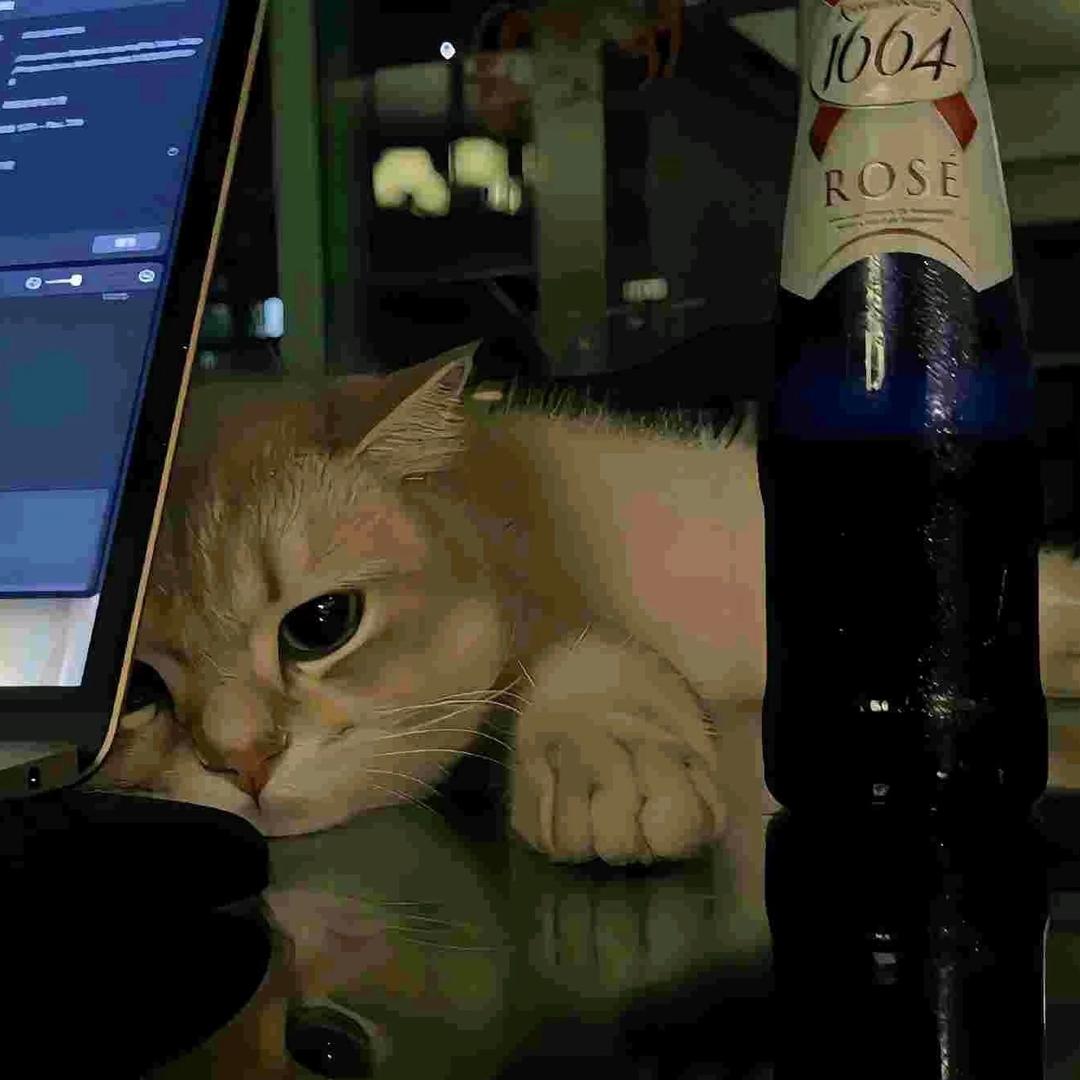 ㅤ     ㅤ     ㅤ     ㅤ