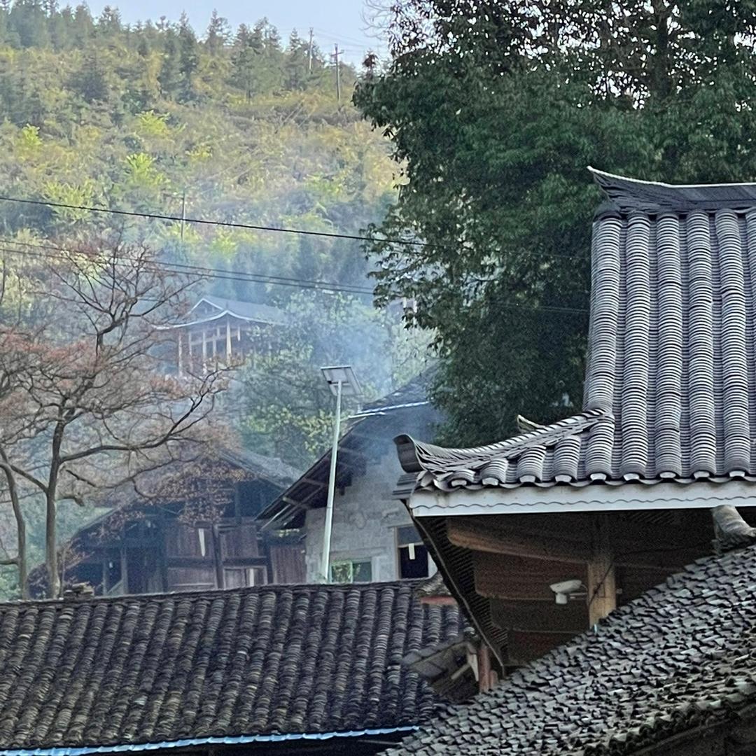 音乐村-村光大道（红星村）