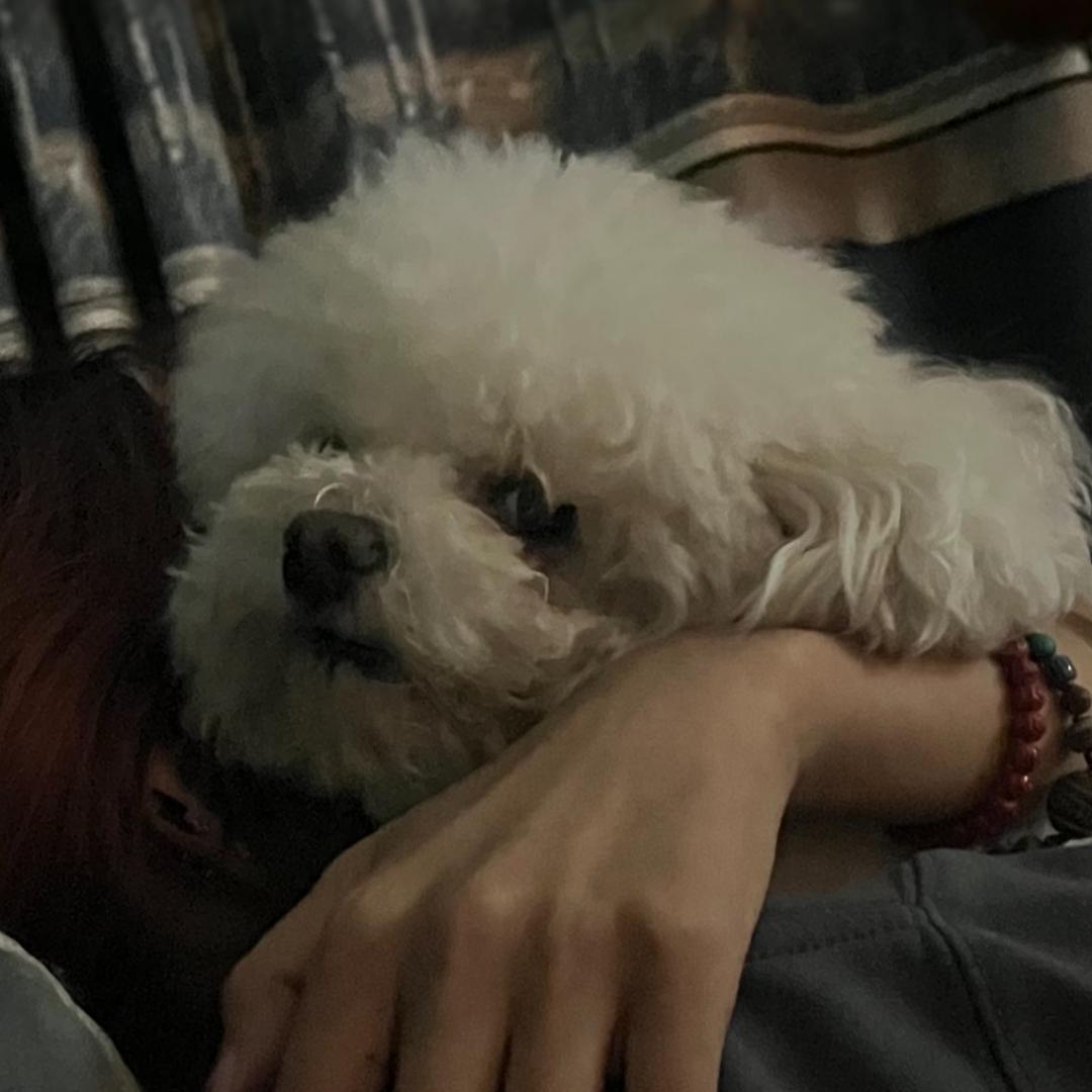 乐乐Icey（黑化版）