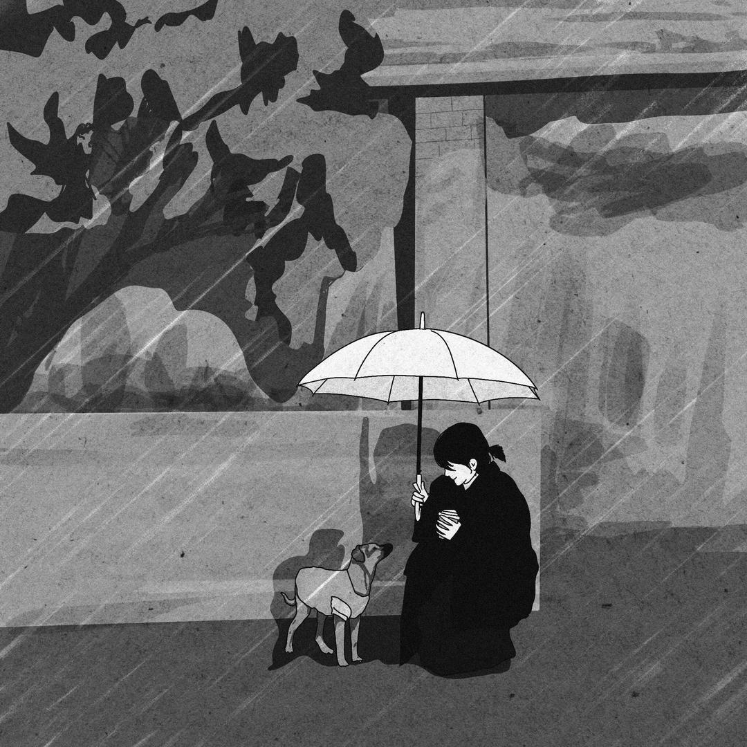 芷逸