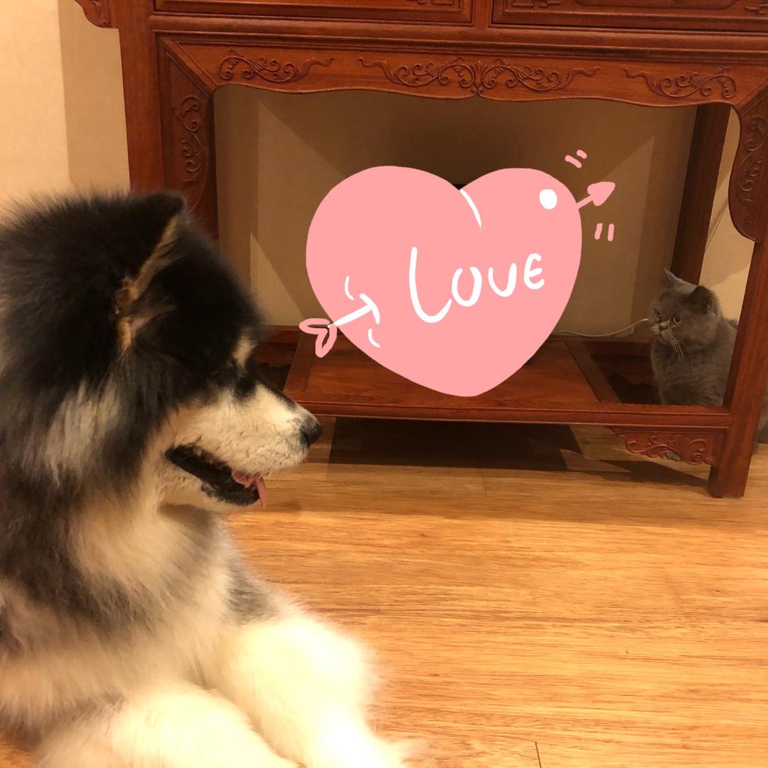 💋 四喜小丸子