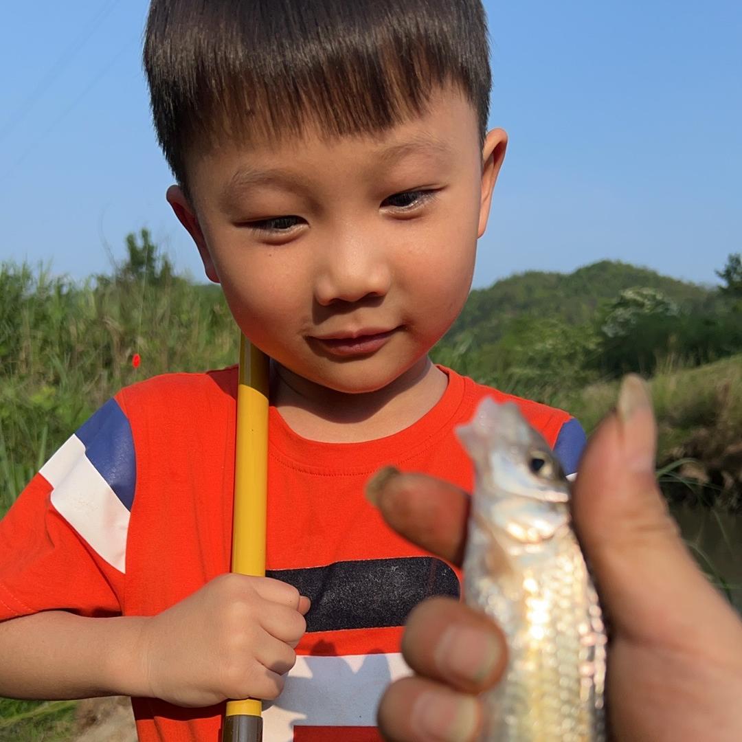 赣南血橙脐橙