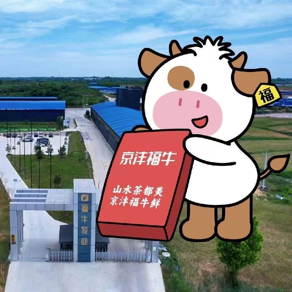 寻牛客（京沣福牛）