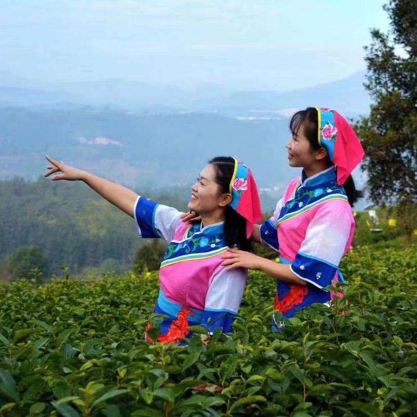阿姊&细妹