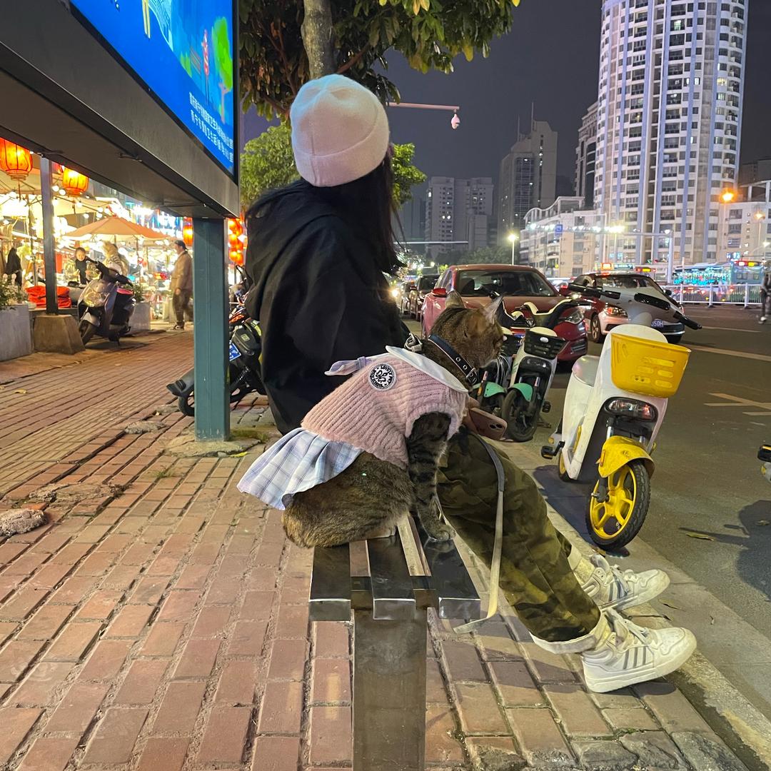 念念小可爱 （二月）（福福）