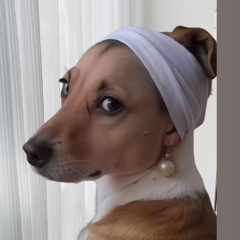 花开富贵              ✔️