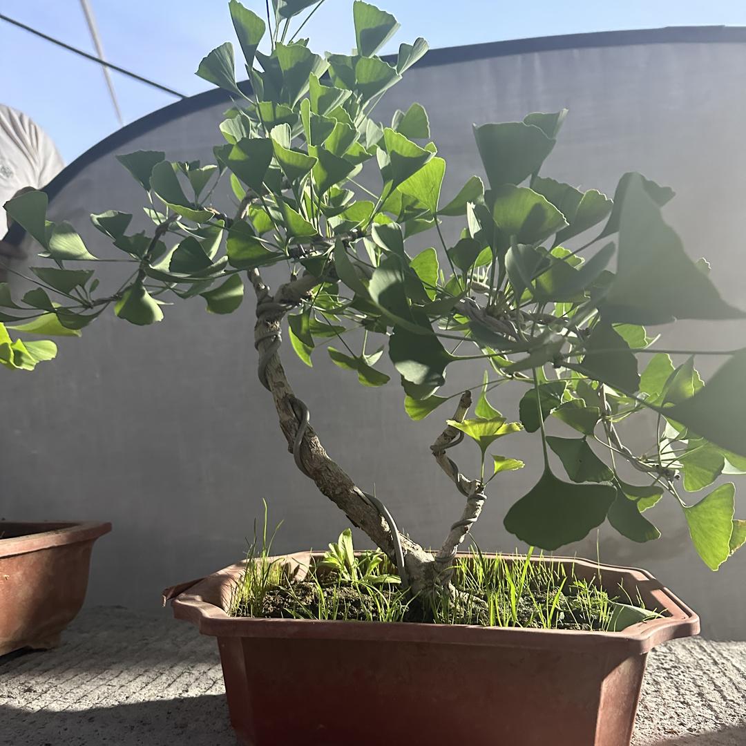 润景园艺花卉臻选阁