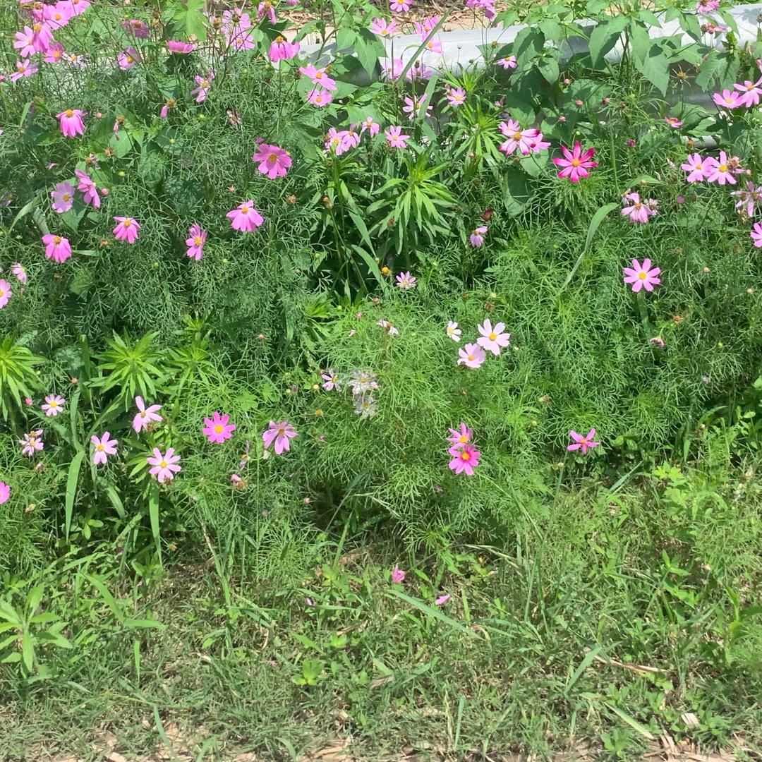💞