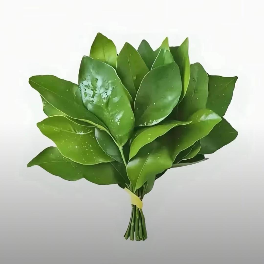 ㅤㅤ ￰ㅤ ㅤㅤ