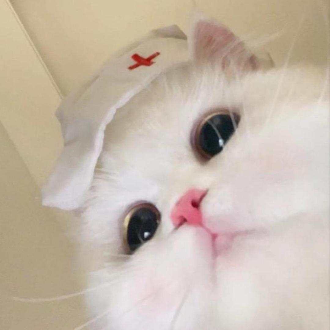 一只棉