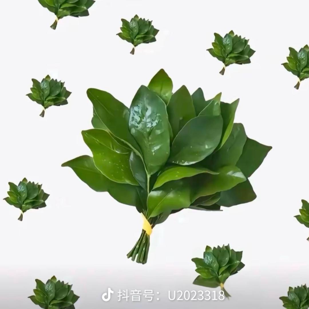 是个美女