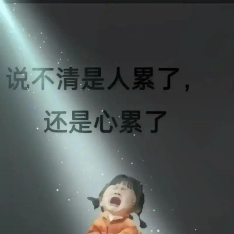 无悔.