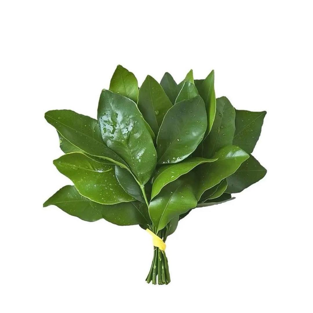 刘丹妮妮