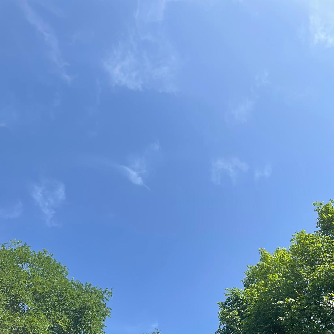 远风➡️