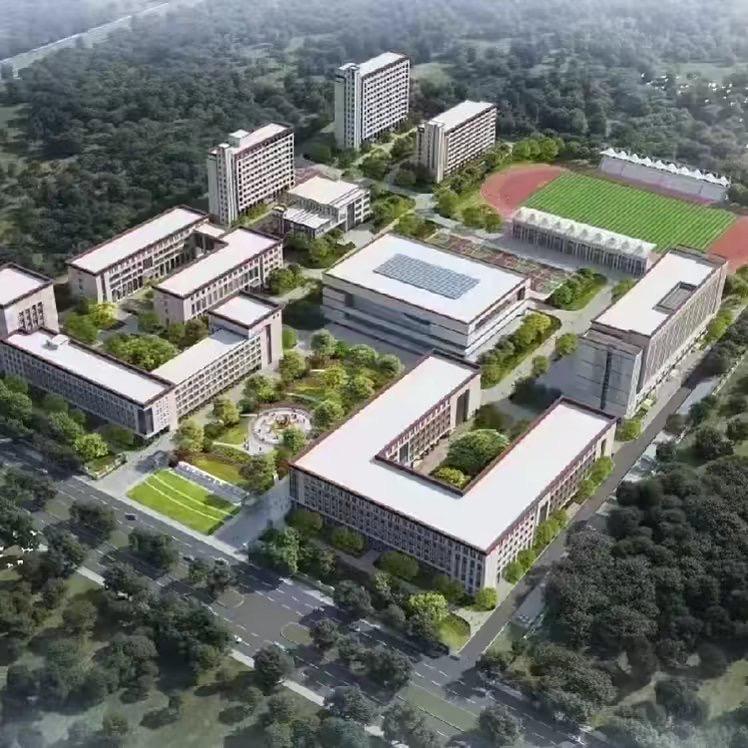 杜老师讲教育