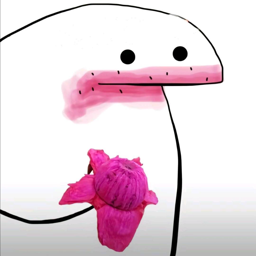 她说往来无白丁