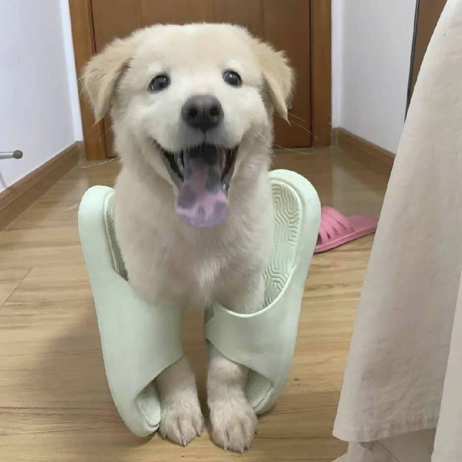 冷库小白