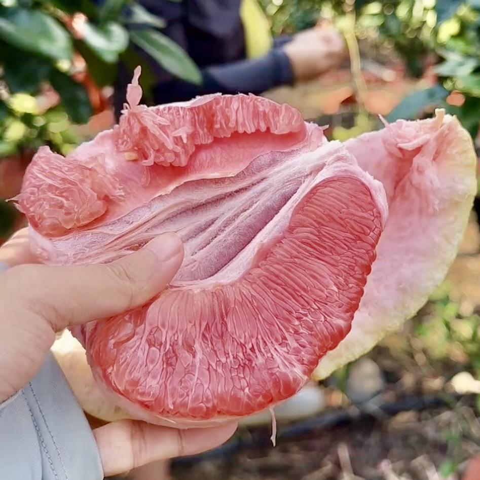 农梦鲜仓综合好货店